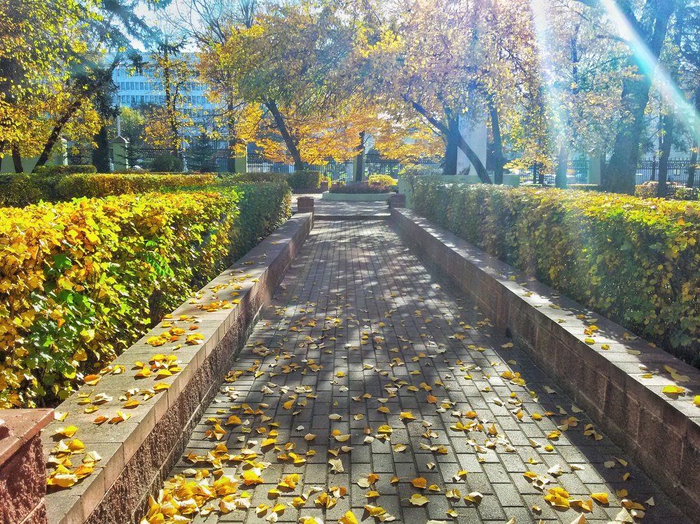 Перспектива