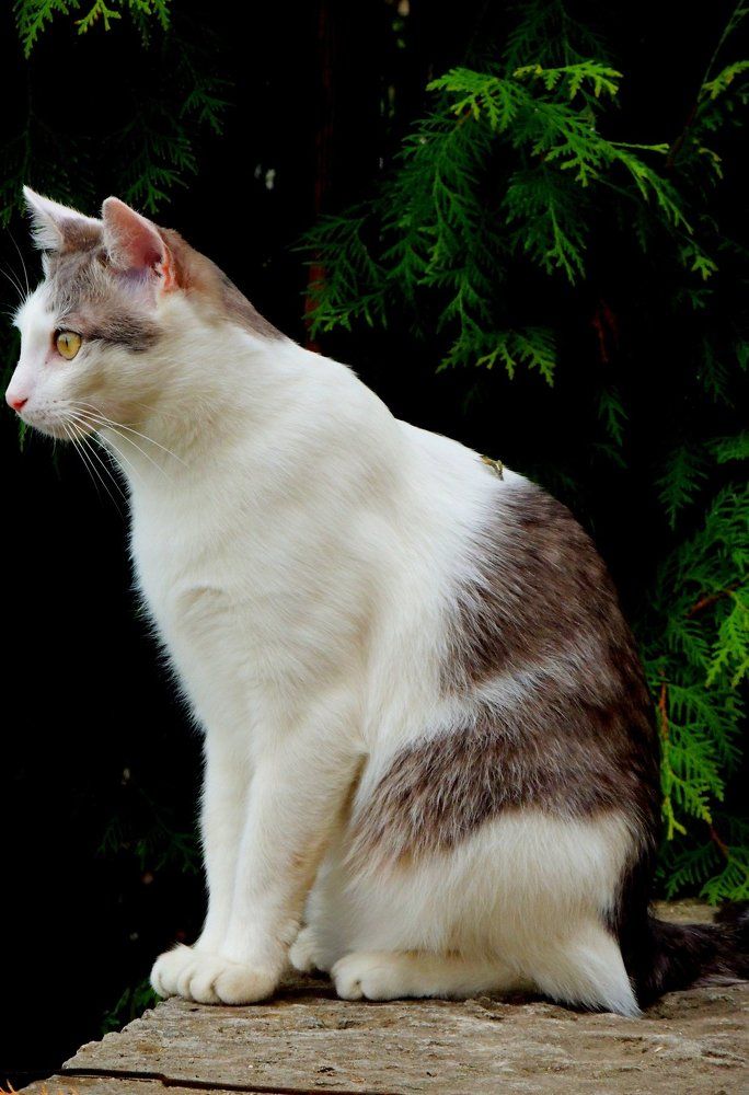 Этот взгляд..