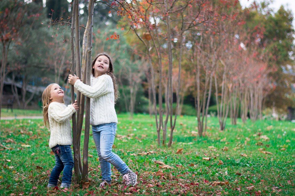 Осенний Партенит