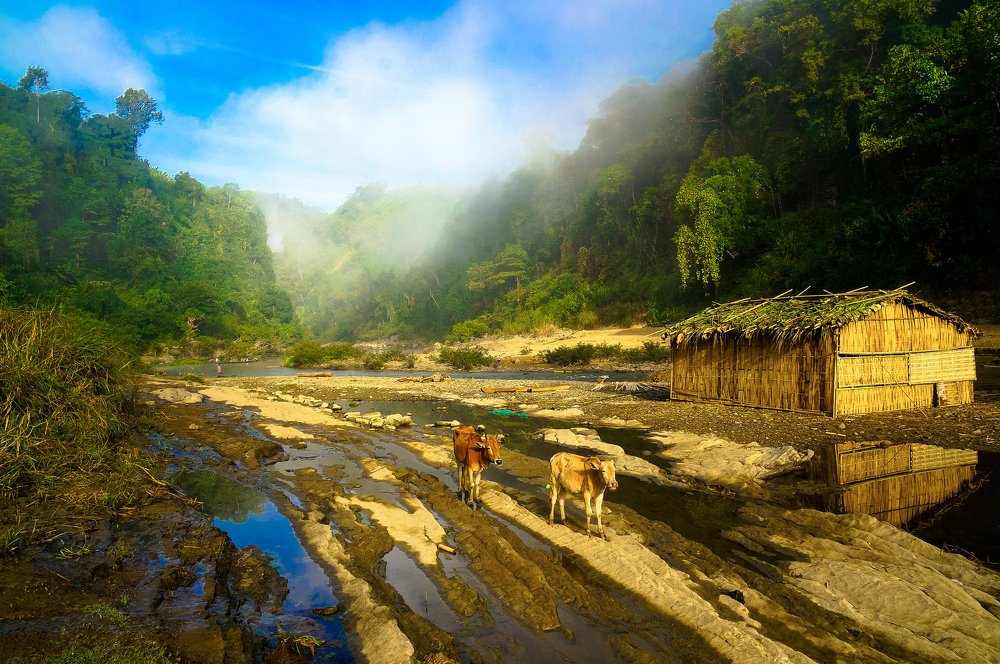 The enchanting frame