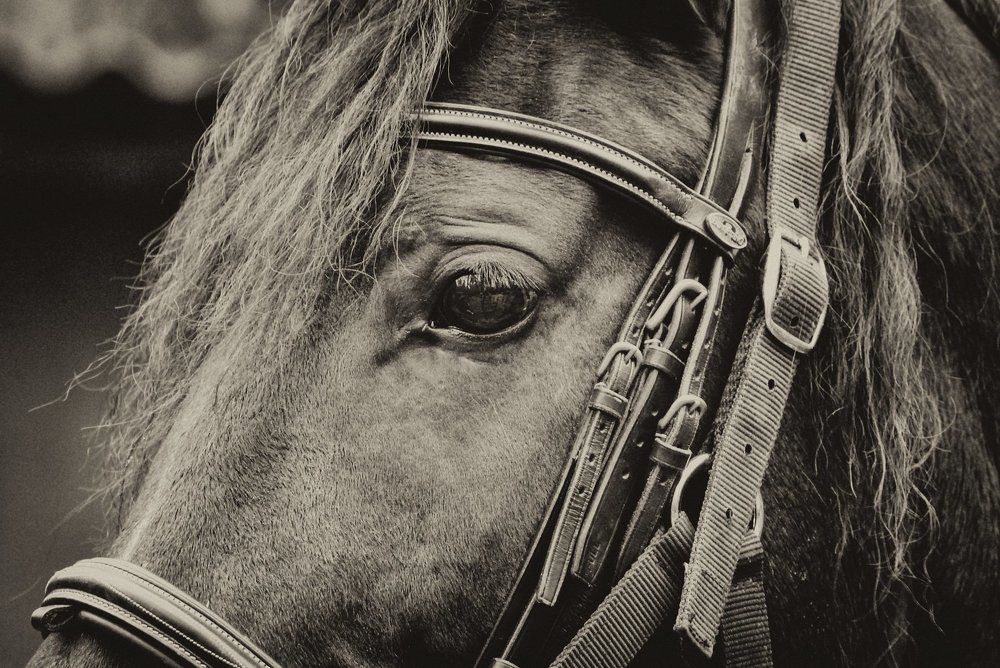 Photograph by Елизавета Немова