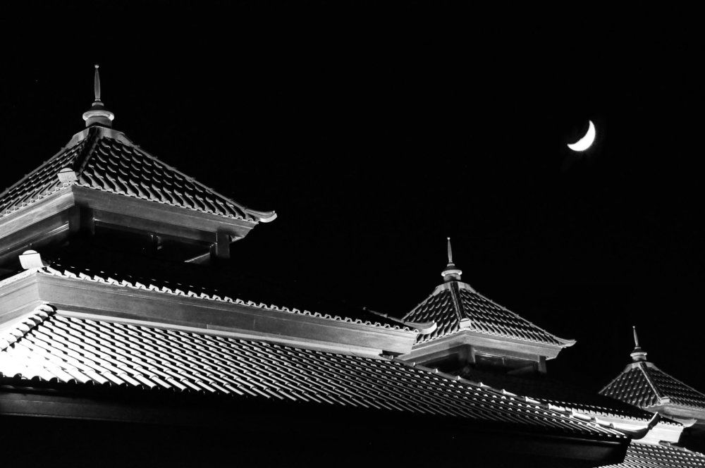 летняя ночь