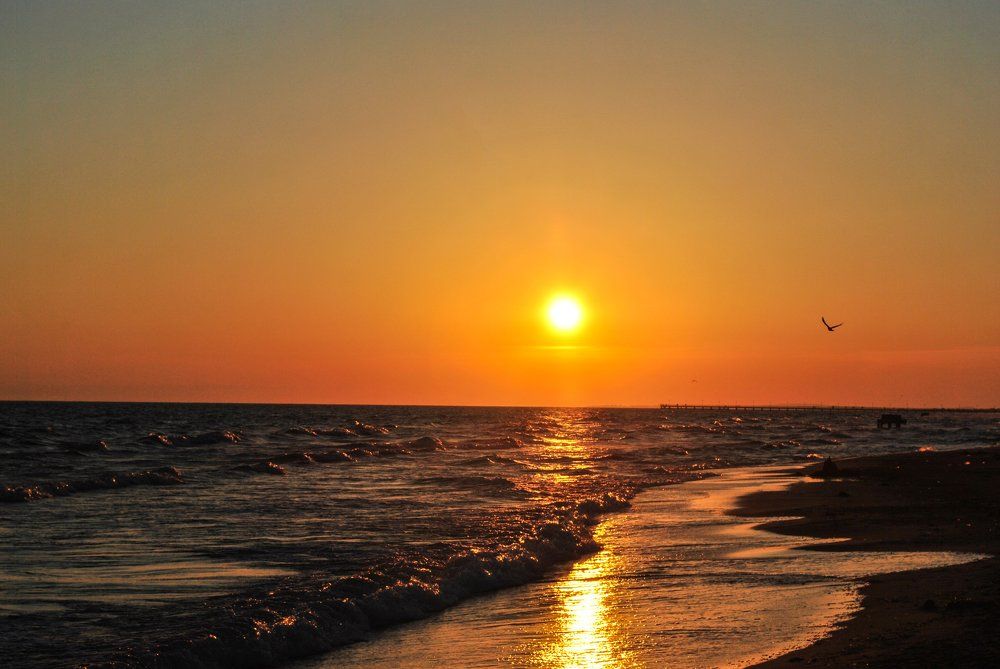 Photograph by Елизавета Немова
