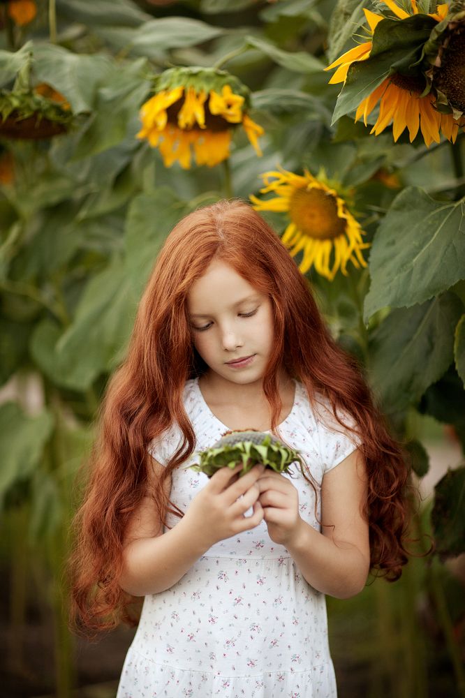 Рыжуля в подсолнухах