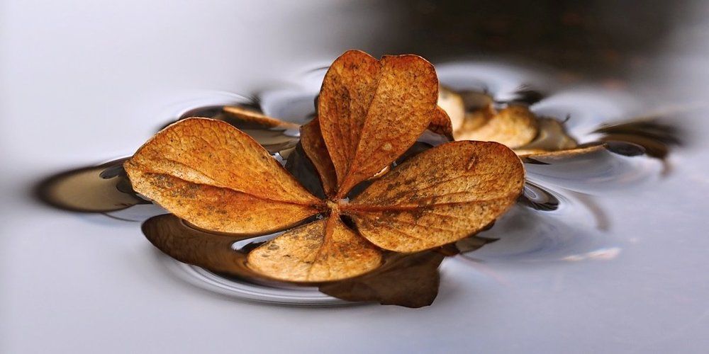 Весенний заплыв