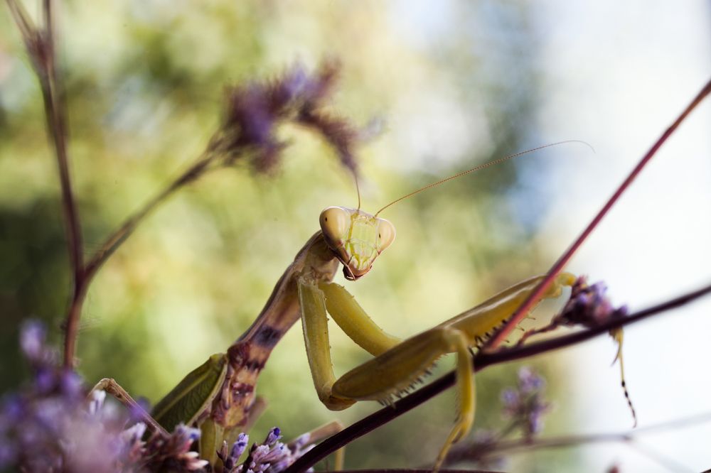 Photograph by Александр Черный