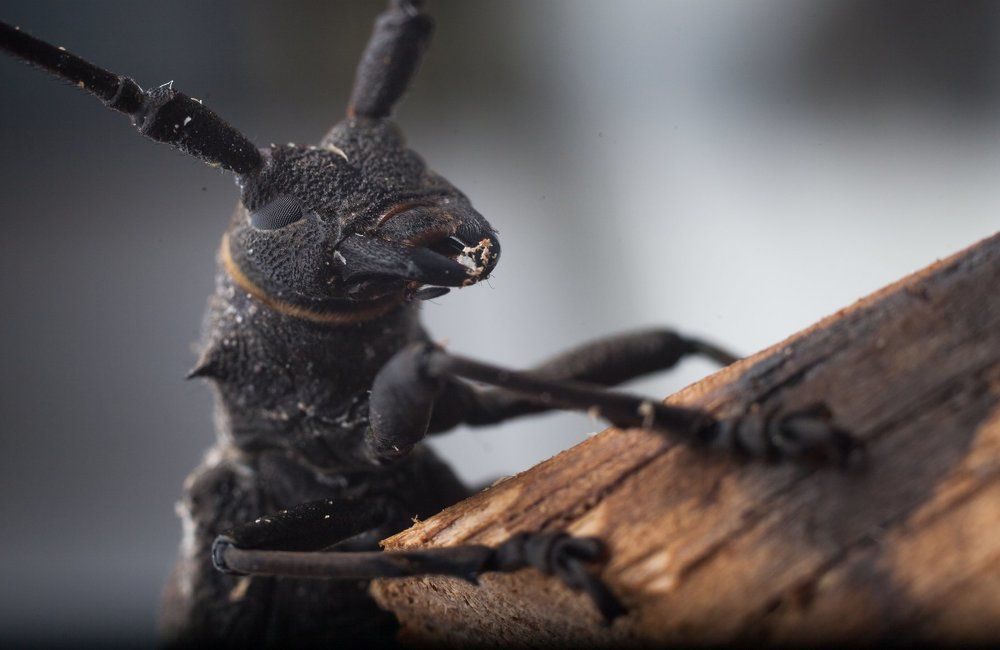 Photograph by Александр Черный