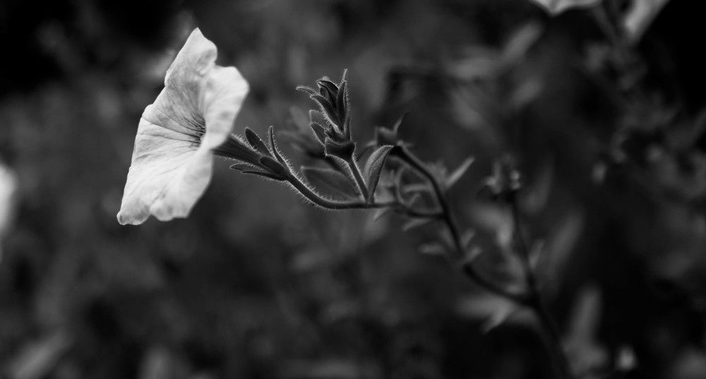 Photograph by Anrijs Slišāns