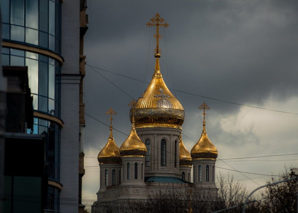 Свет во мраке