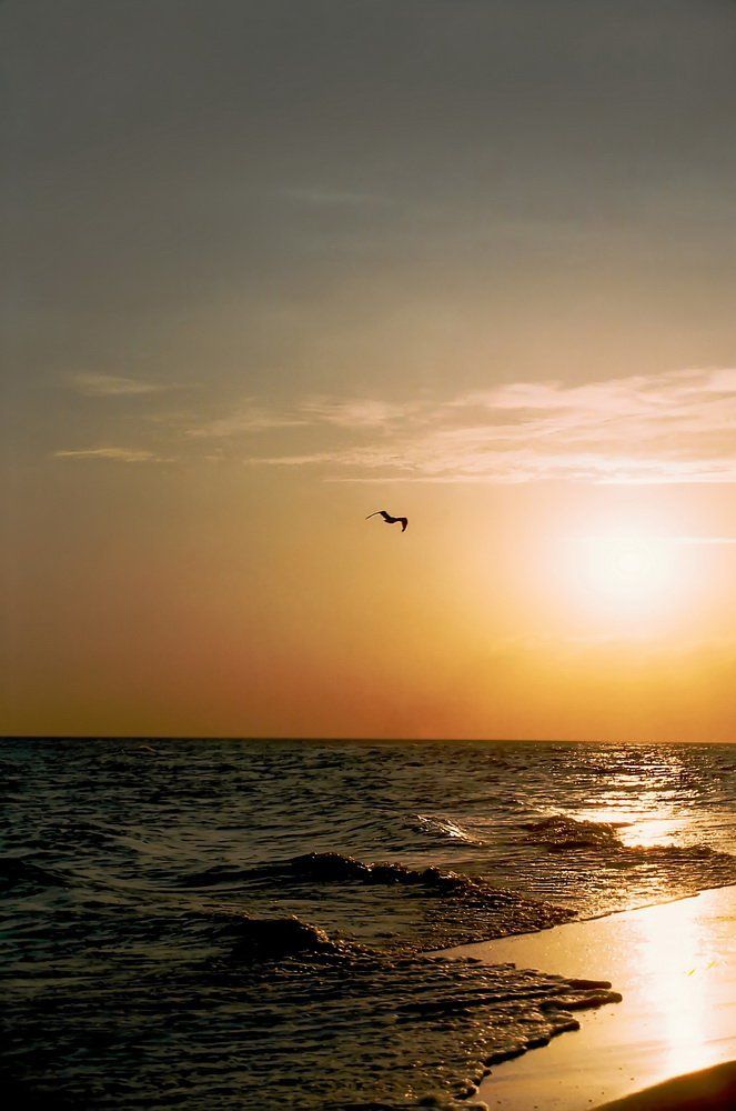 Загадочный полет