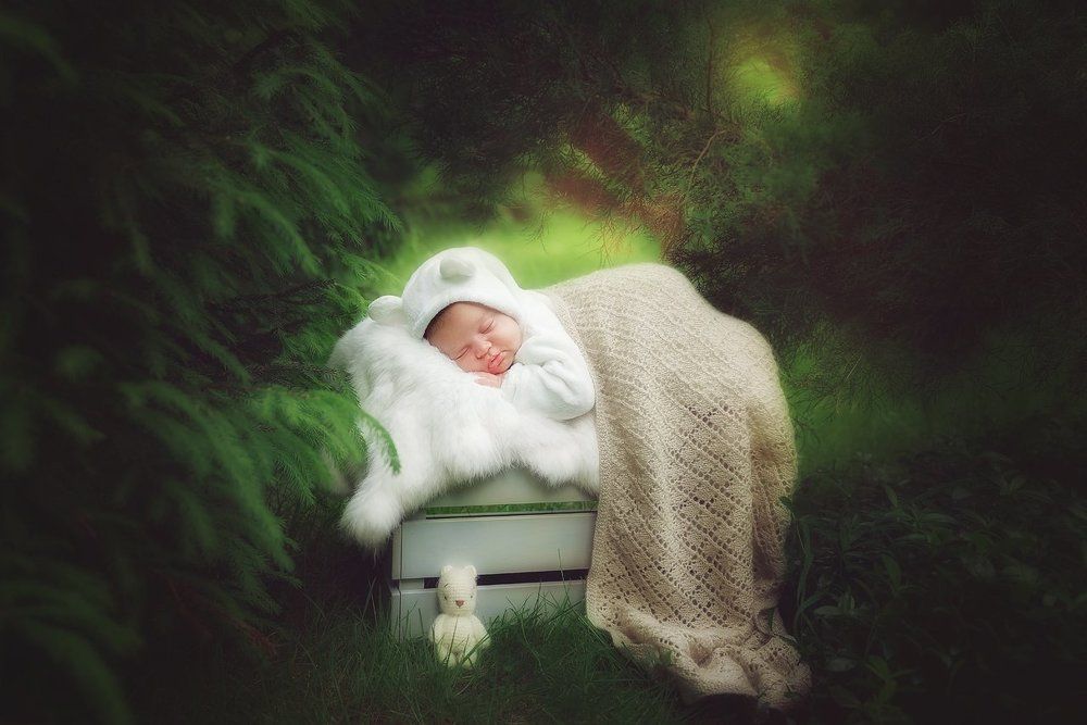 Сны медвежонка