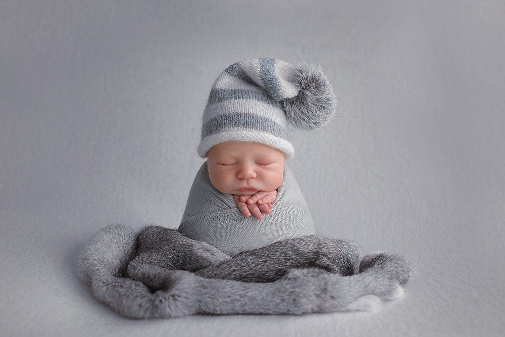 Король севера