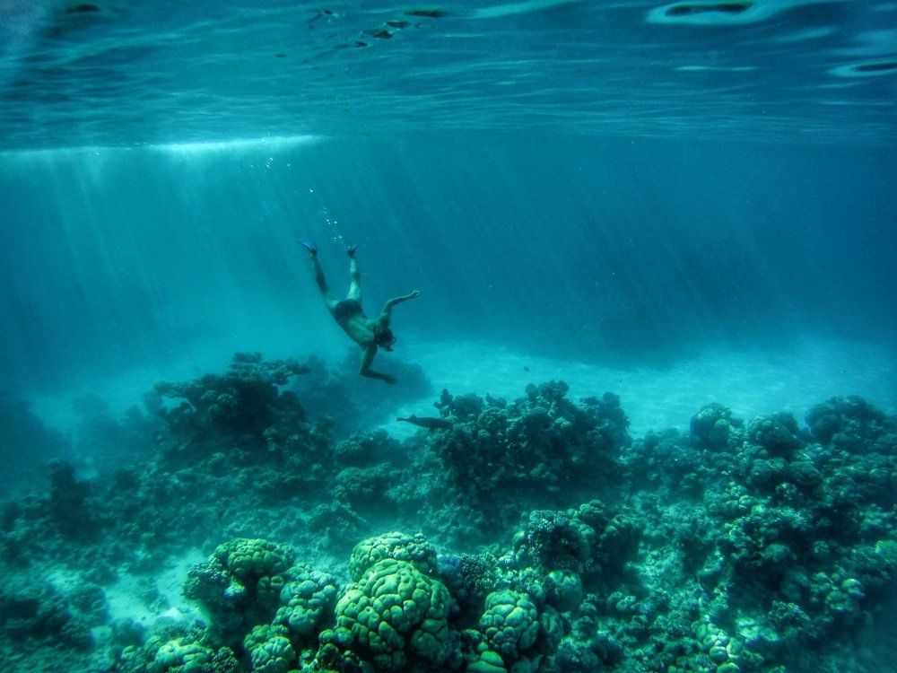 Мир под водой