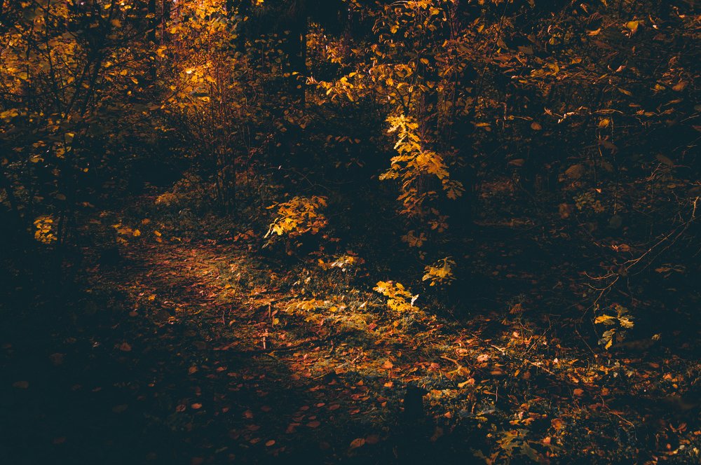 Photograph by Влад Шикас