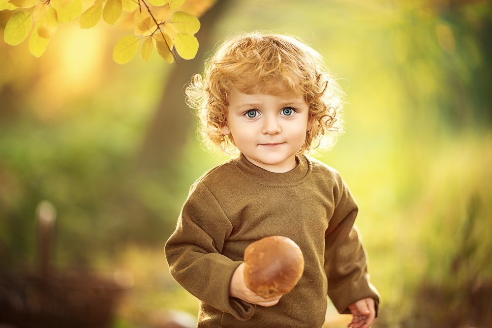 Лесная находка