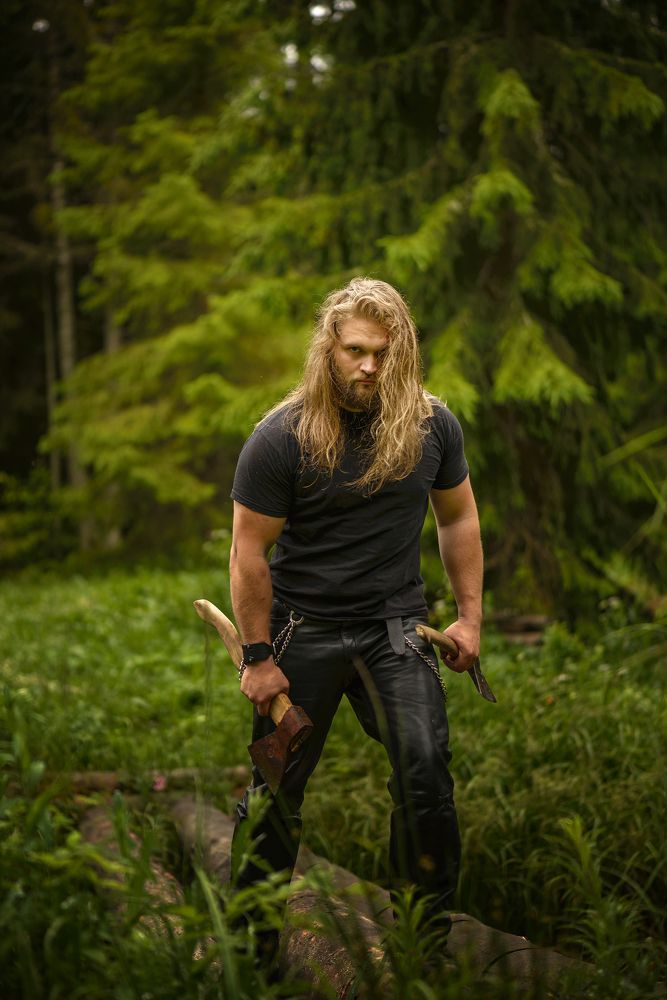 ...он из лесу вышел...