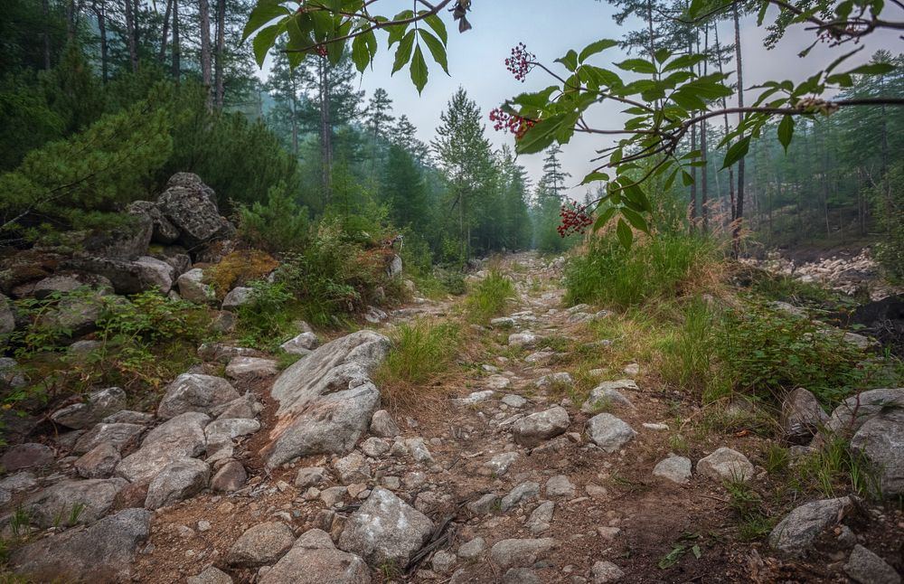 Потаённая тропа