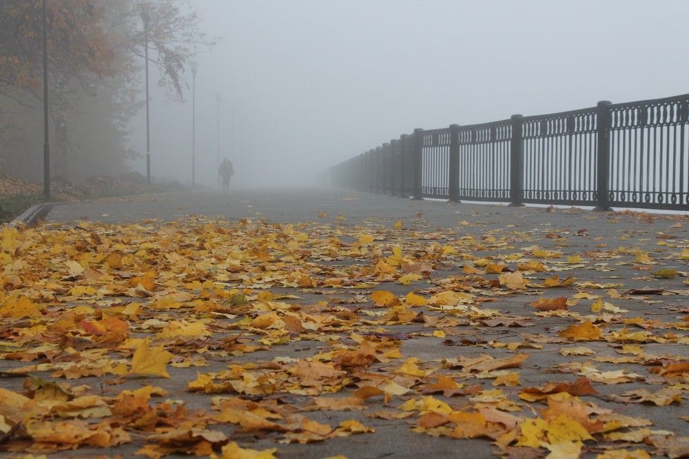 Туманная набережная