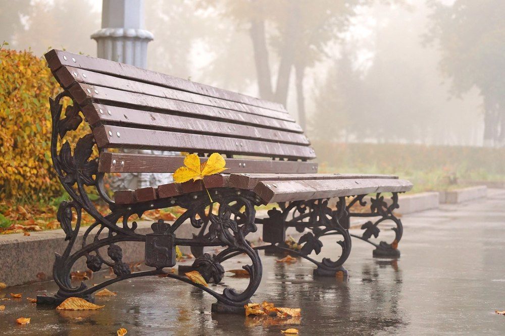 Осенняя набережная