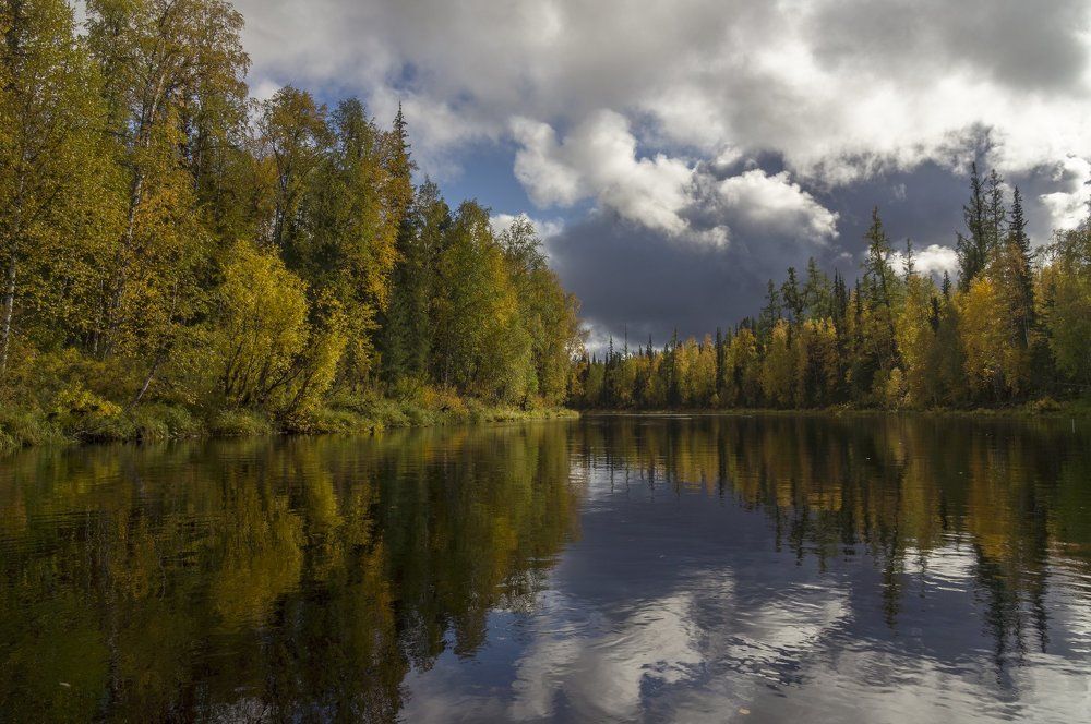 краски осени
