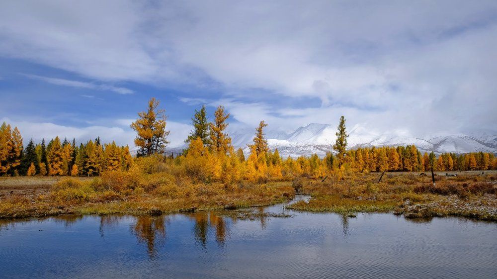 Photograph by Ольга