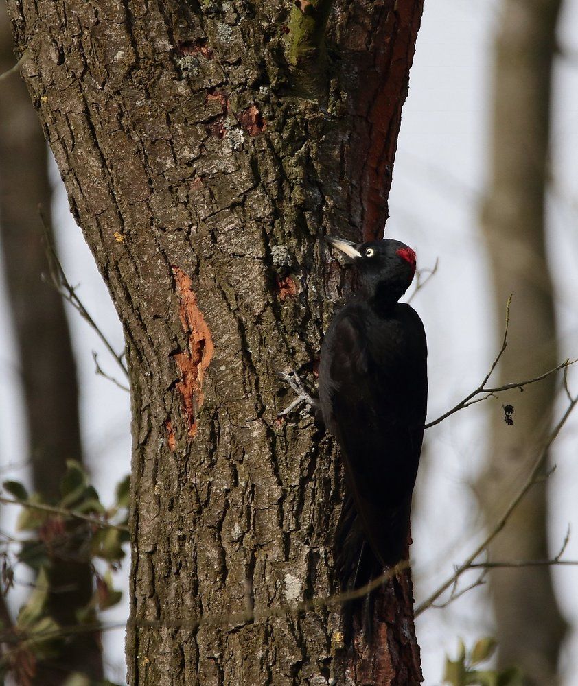 I send you all my love!