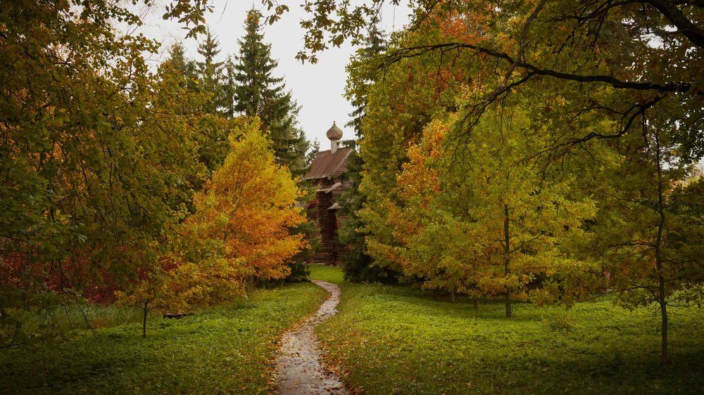 Там,на неведомых дорожках...