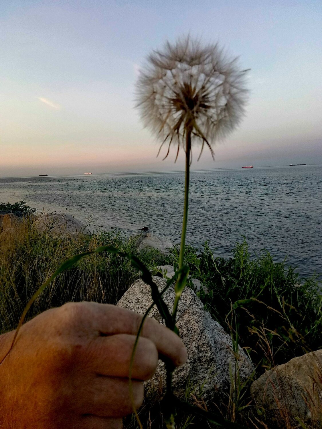 Denmark