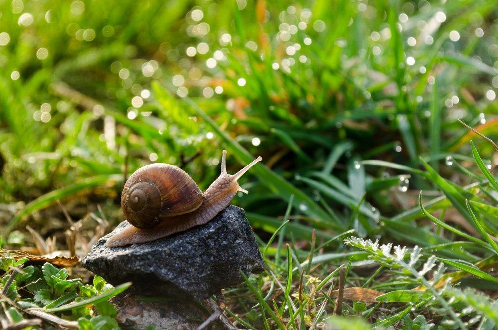 Photograph by Марина