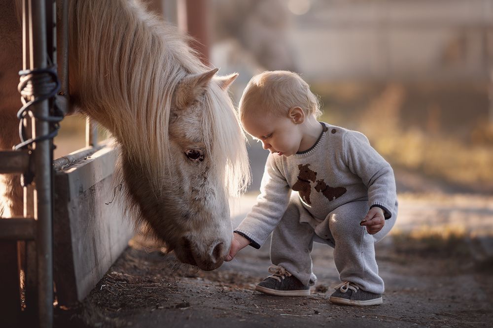 Please eat my friend