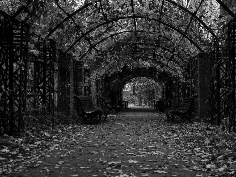 The back-to-school season