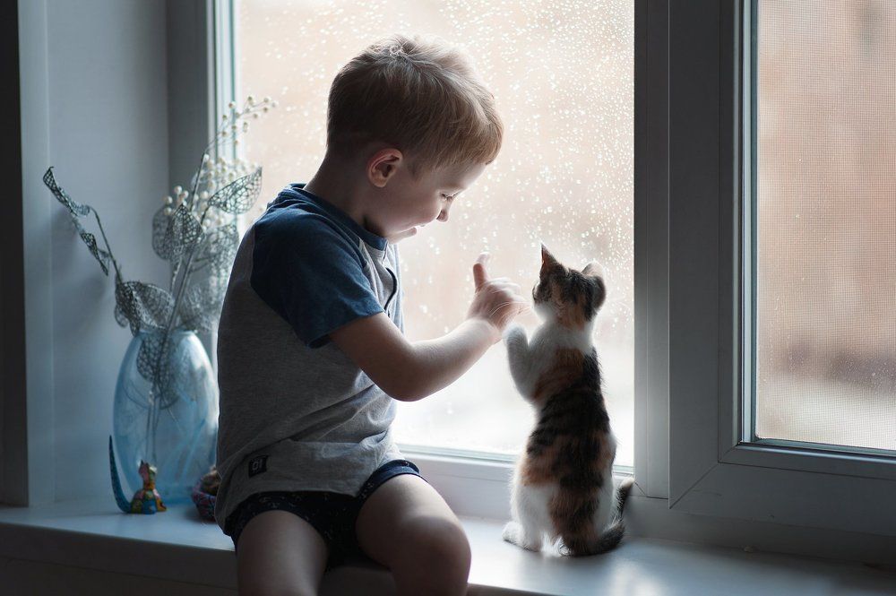 Photograph by Самойлис Юлия