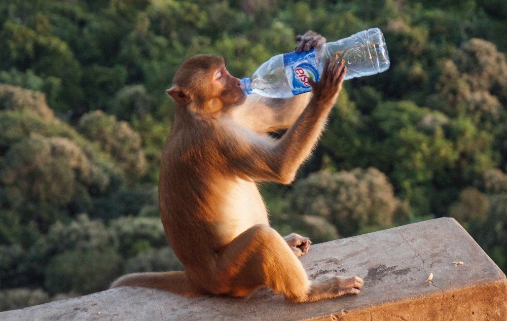 Photograph by Ko Tunn