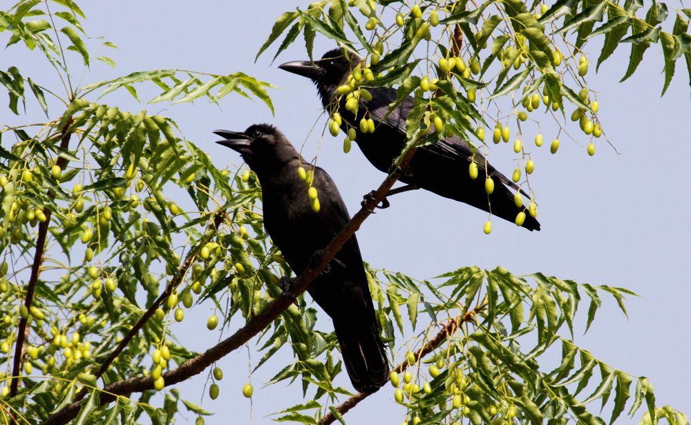 Photograph by Ko Tunn