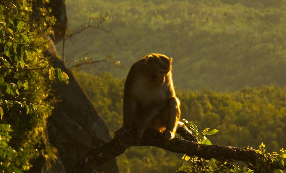 Photograph by Ko Tunn