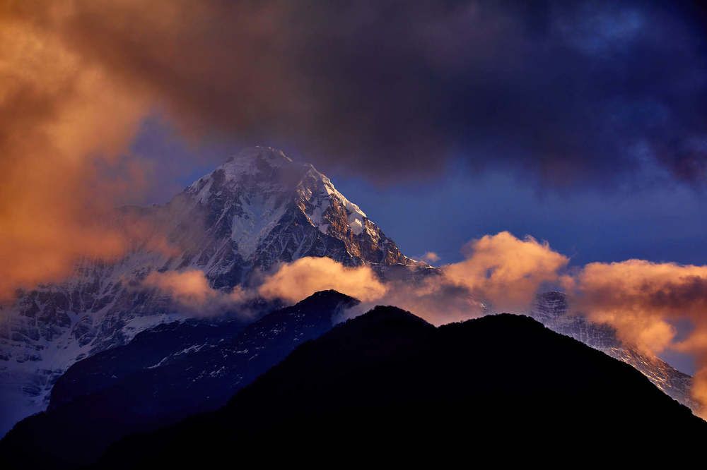 Тревожное утро