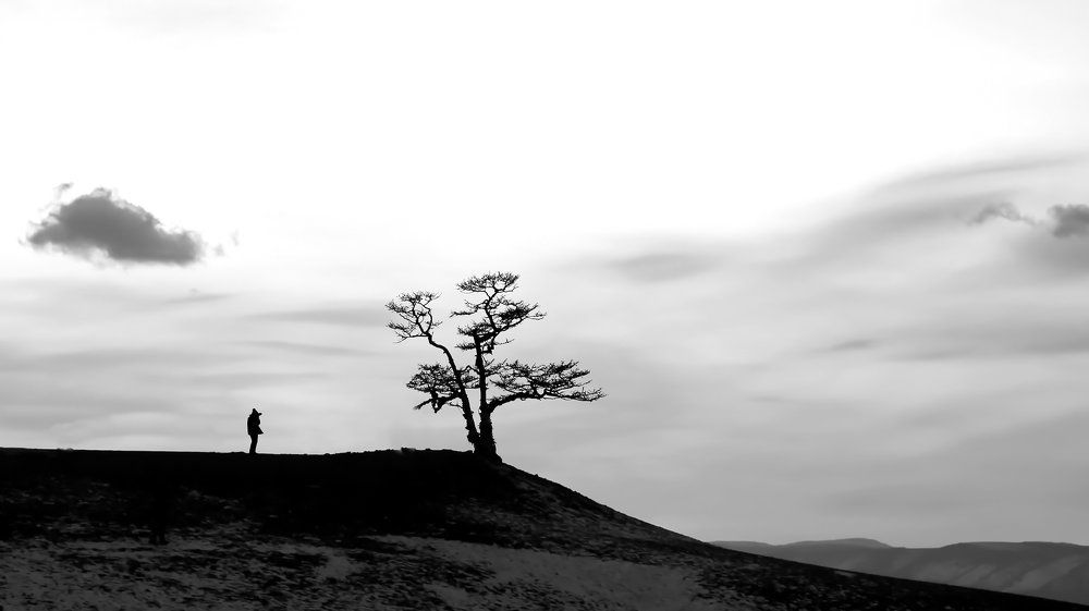 Два одиночества