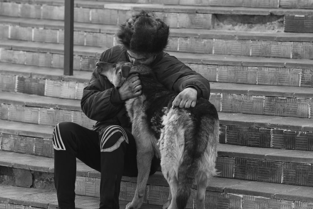 "Мёртвые души"