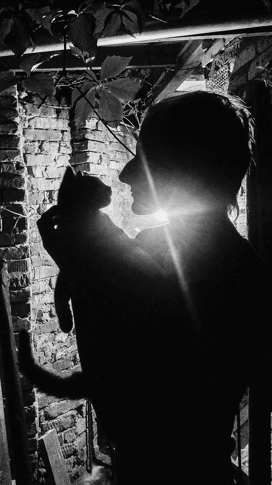 Ах, как ее сердце мурчало..