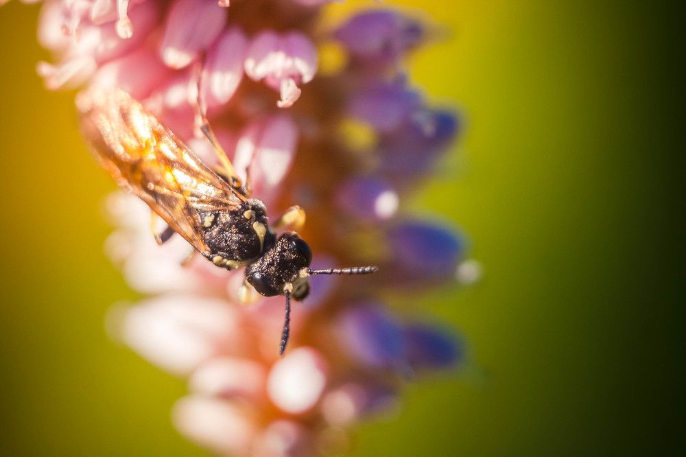 Позирование