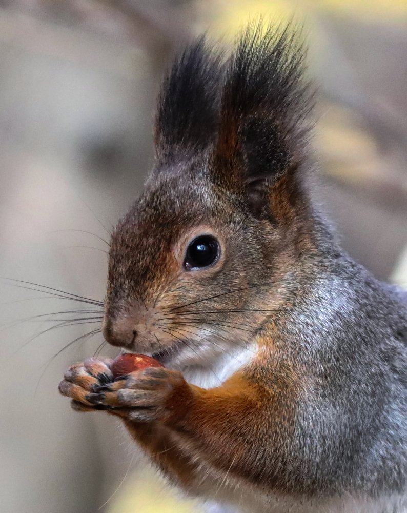 обеденный перерыв