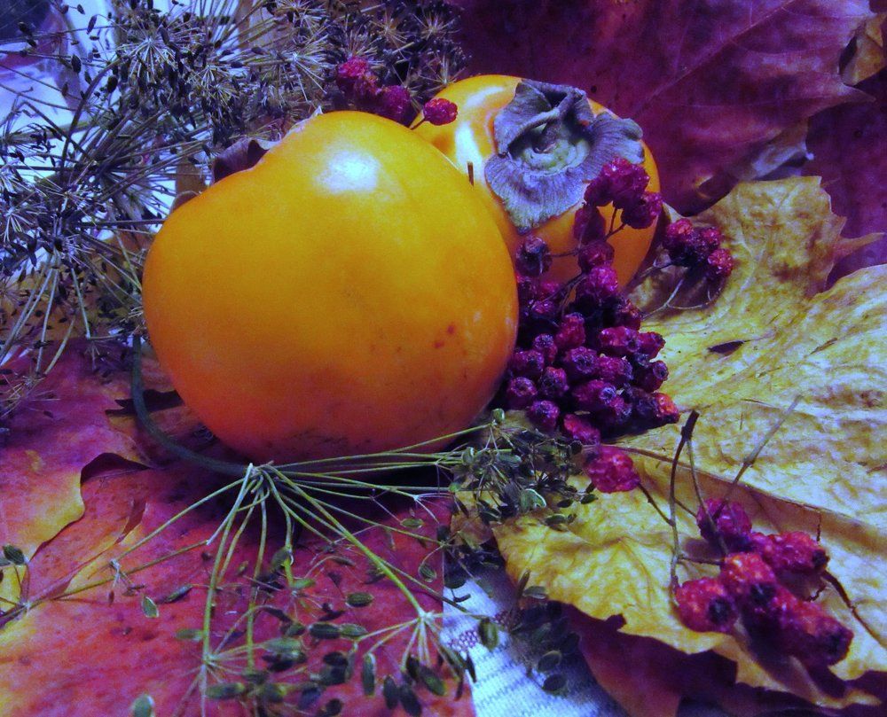 Photo #2009633