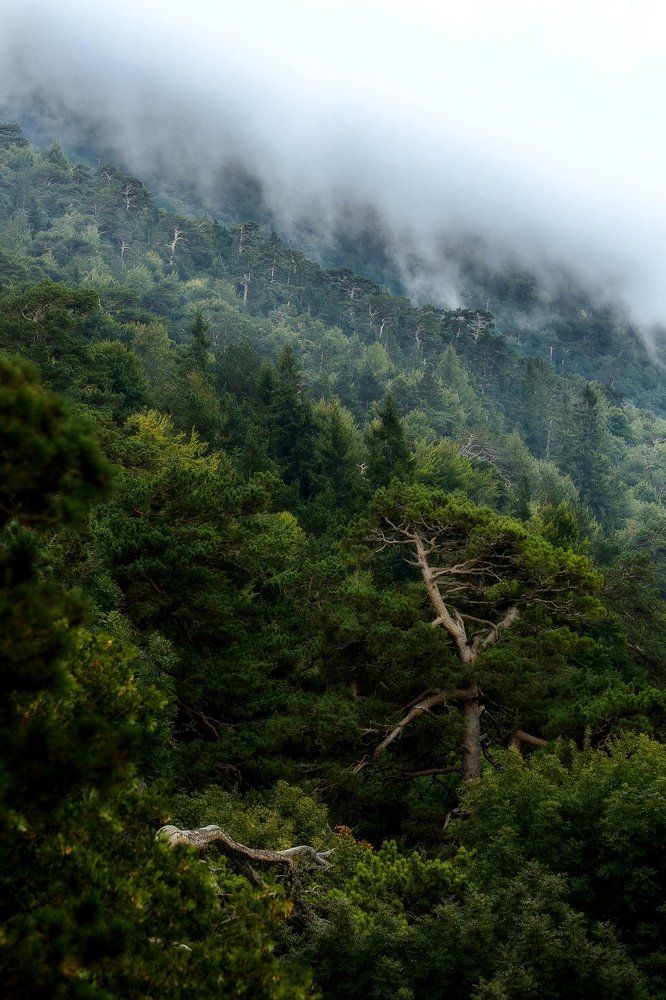 Заповедный Крым