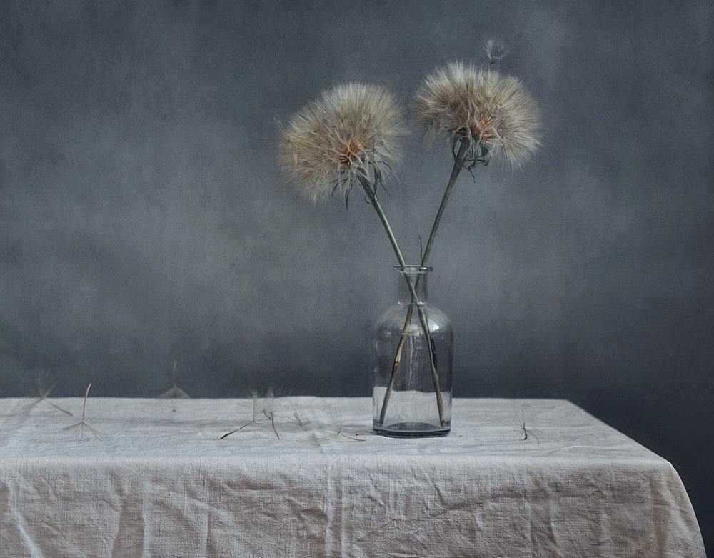 с одуванами...