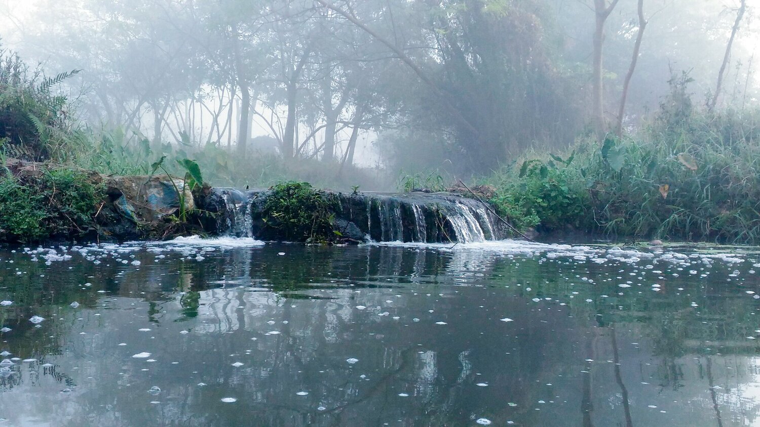 Foggy morning