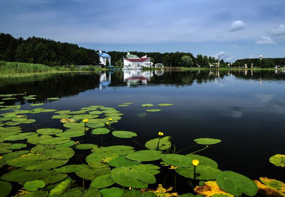 Воспоминание о лете