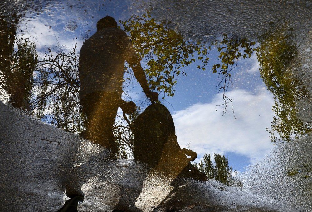 Шаги в будущее.