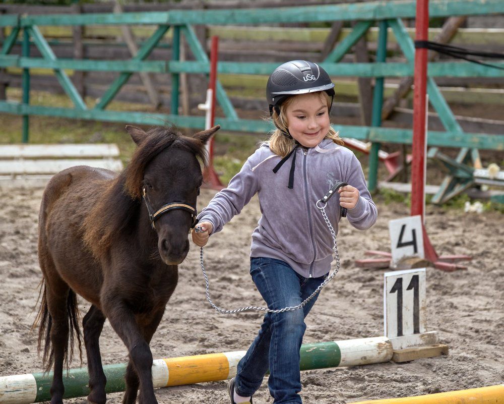 Иппотерапия