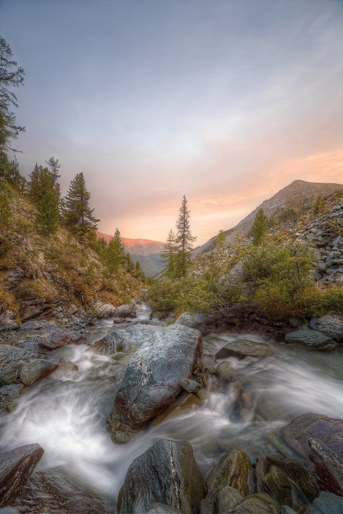 Встречая розовый рассвет