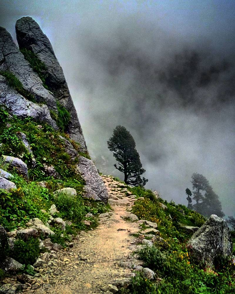 And I took the one less travelled...